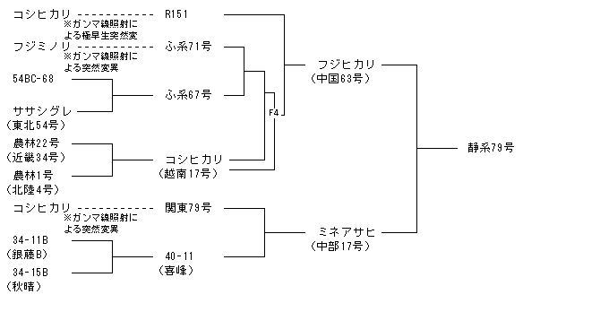 静系79号