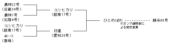 静系86号