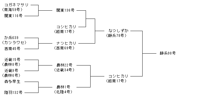 静系98号