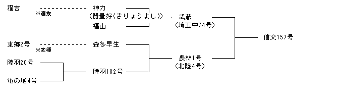 信交157号