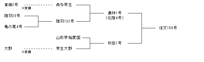 信交158号