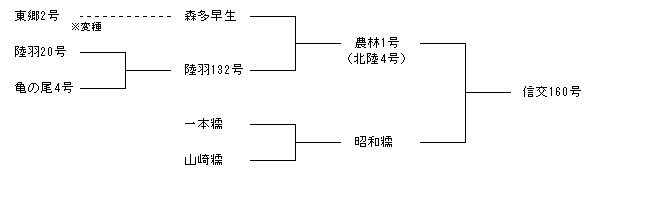 信交160号