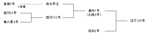 信交165号
