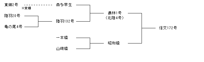 信交172号