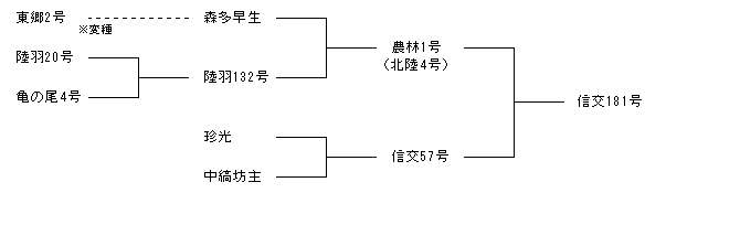 信交181号