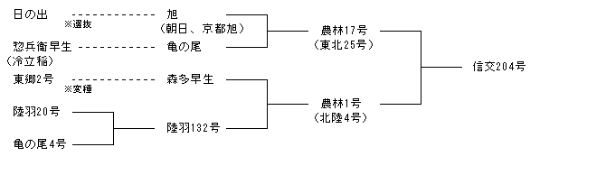 信交204号