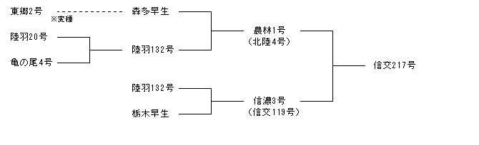 信交217号
