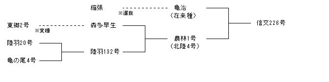 信交226号