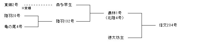 信交234号