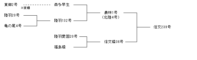信交239号