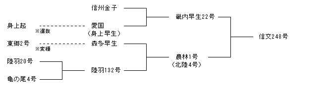 信交248号