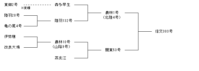 信交303号