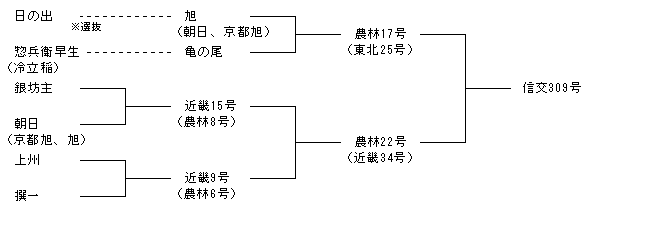 信交309号