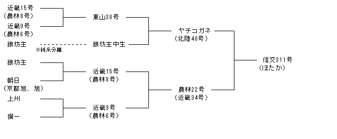 信交311号