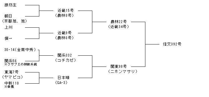 信交392号