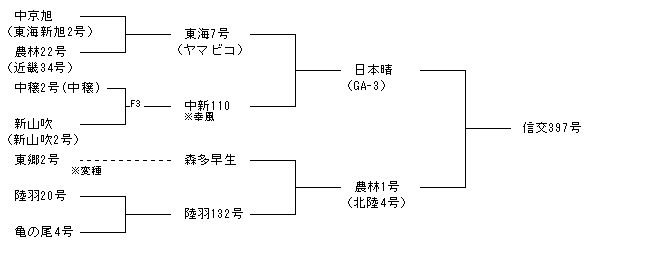 信交397号