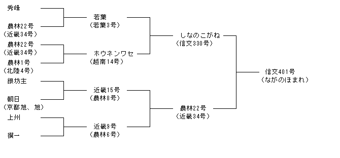 信交401号