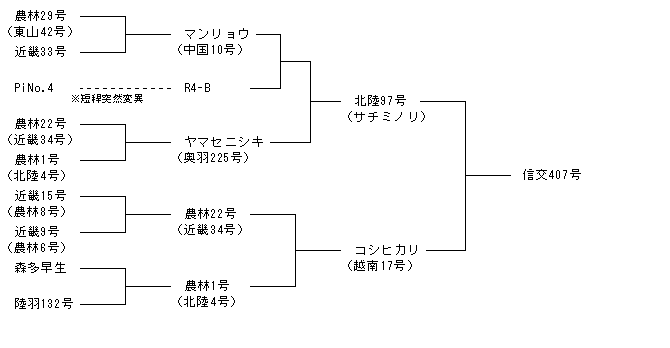 信交407号