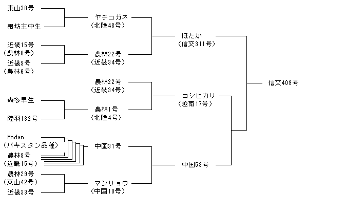信交409号