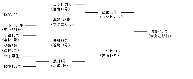 信交417号