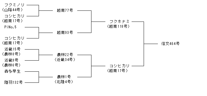 信交464号