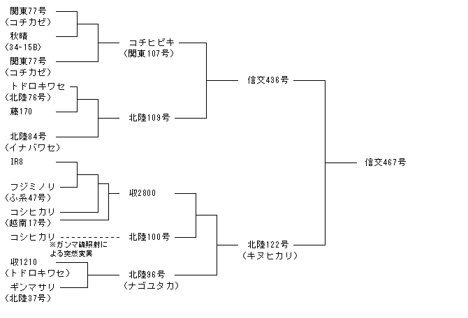 信交467号