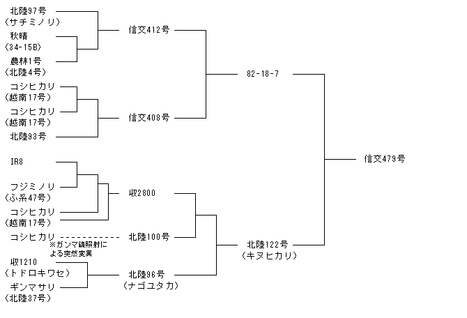 信交479号