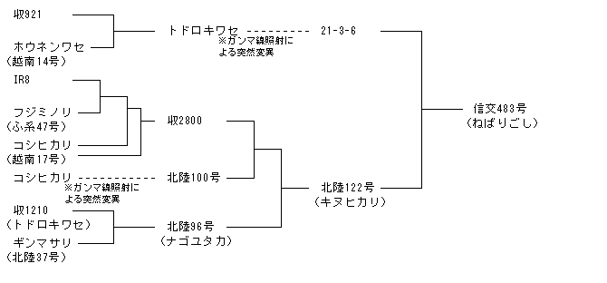 信交483号