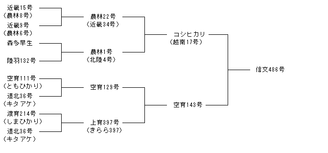 信交486号