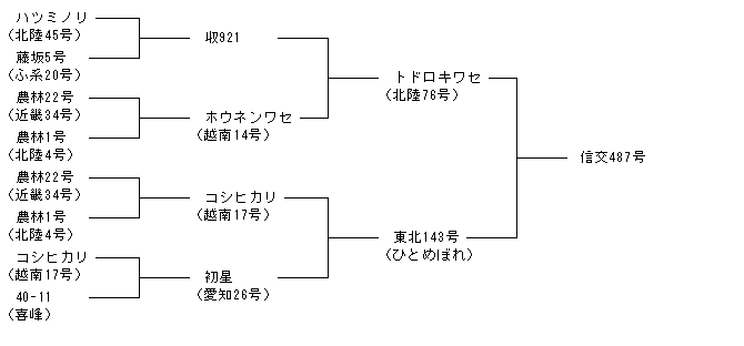 信交487号
