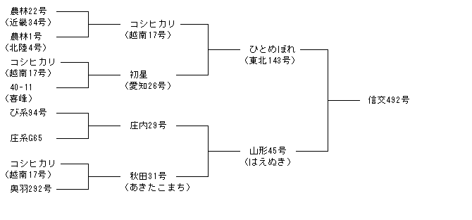 信交492号