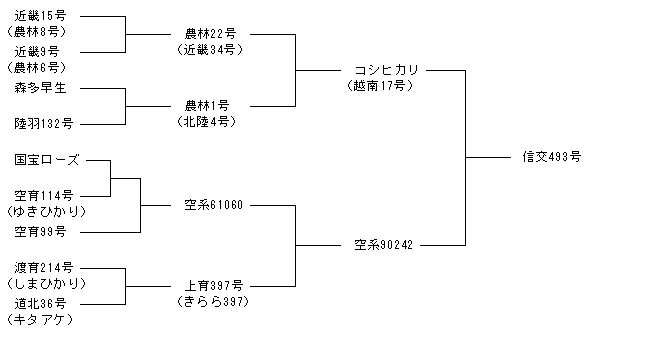 信交493号