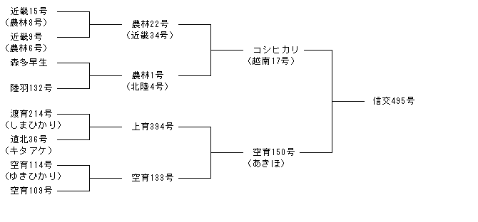 信交495号
