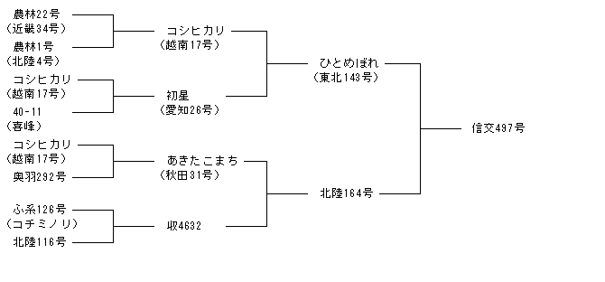 信交497号