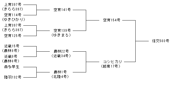 信交503号
