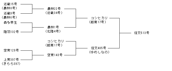 信交513号