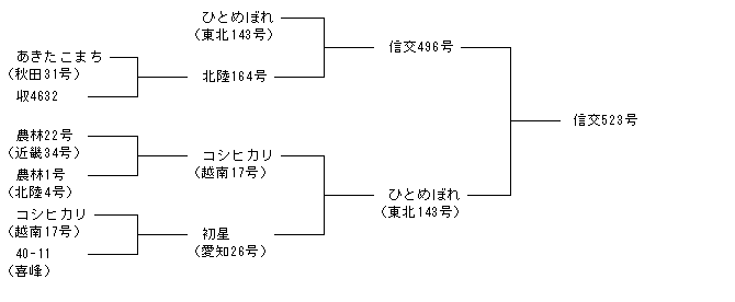 信交523号