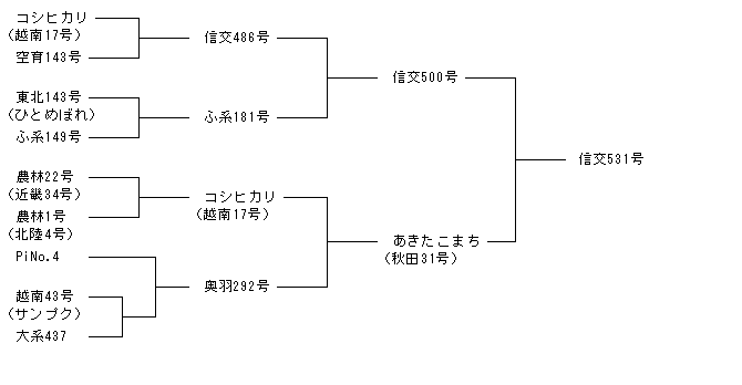 信交531号