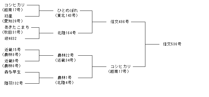 信交536号