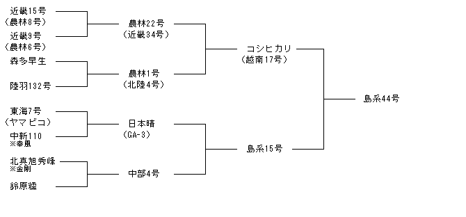 島系44号