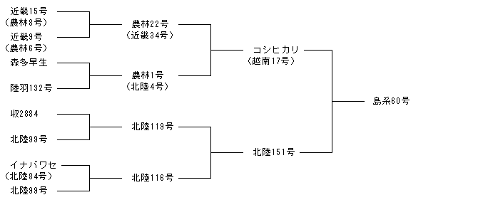島系60号