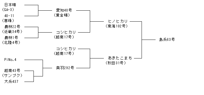 島系63号