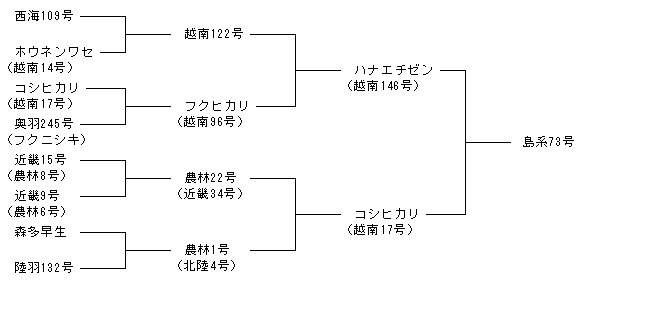 島系73号