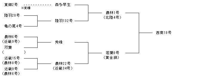 西南18号