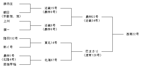 西南22号