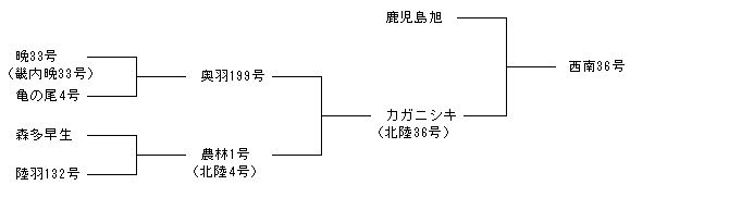 西南36号