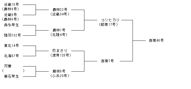 西南46号