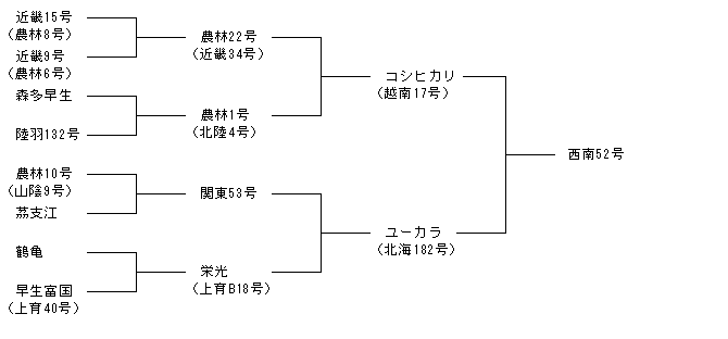 西南52号