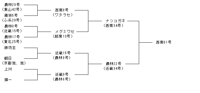 西南61号