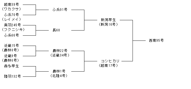 西南95号